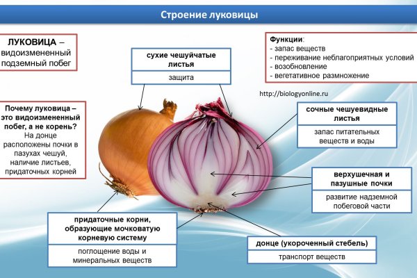 Кракен 12 сайт