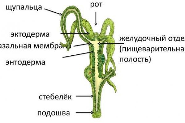 Кракен оф